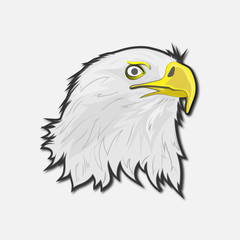 illustration of an eagle