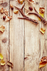 Rustic autumn border with leaves and antlers