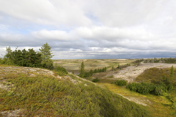 Naklejka premium Beautiful landscape of forest-tundra, Big panoramic