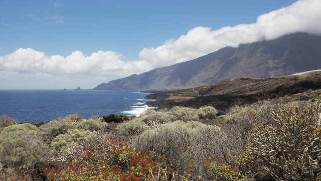 Coastal views towards the northern part of the island, with focus on the endemic flora, on the walking route to Charco Azul, El Hierro, Canary Islands, Spain