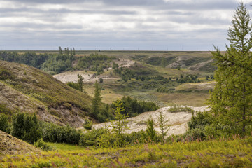 Fototapeta na wymiar Beautiful landscape of forest-tundra,