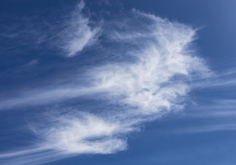 Obraz premium summer clouds background 