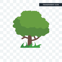 Tree vector icon isolated on transparent background, Tree logo design