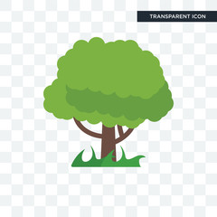 Tree vector icon isolated on transparent background, Tree logo design