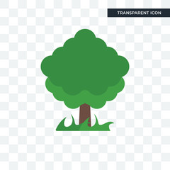 Tree vector icon isolated on transparent background, Tree logo design