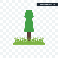 tree vector icon isolated on transparent background, tree logo design