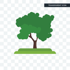 Black Locust tree vector icon isolated on transparent background, Black Locust tree logo design