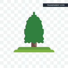 Eastern cedar tree vector icon isolated on transparent background, Eastern cedar tree logo design