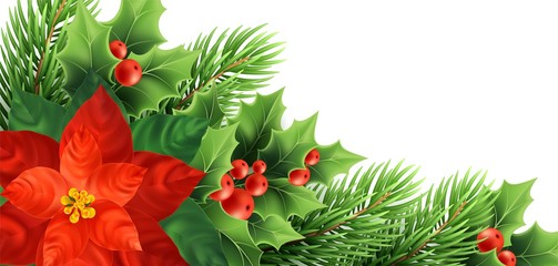 Christmas poinsettia flower realistic vector illustration