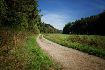 Fototapeta na wymiar Waldweg in der Eifel zum Wandern spazieren gehen im Sommer bei Sonnenschein