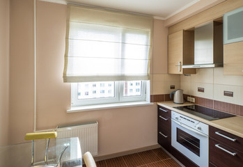 Interior of the flat. Kitchen. 