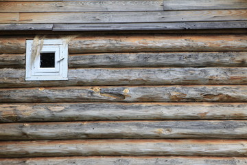Texture of a tree in the village.