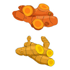 Fresh turmeric roots