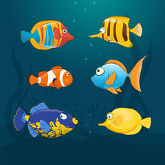 Fototapeta premium Colorful exotic fishes underwater