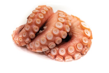 Boiled Octopus (Tako) for sushi on white background