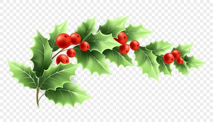 Fototapeta Christmas holly branch realistic illustration obraz