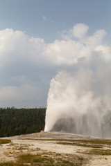 old faithful