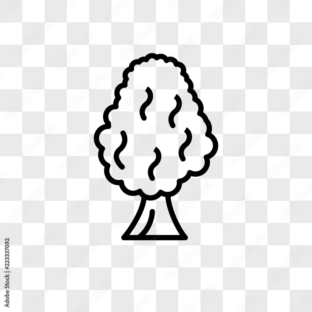 Poster tree vector icon isolated on transparent background, tree logo design