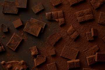 top view of gourmet chocolate pieces and cocoa powder