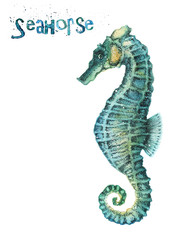 Watercolor seahorse isolated on white background © milovelen