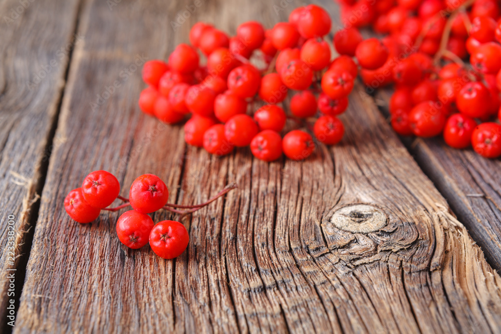 Canvas Prints autumn background with rowan branch on old wooden table
