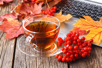 Cup of linden tea with autumn leaves on a wooden background