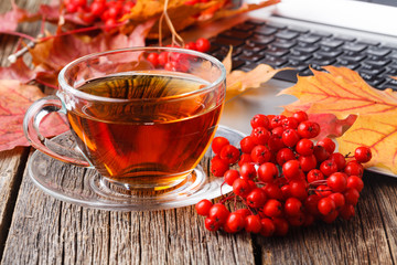 Fall creative art concept, maple leaves on table