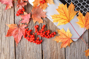 Naklejka na ściany i meble autumn fall flat lay, top view home office table desktop