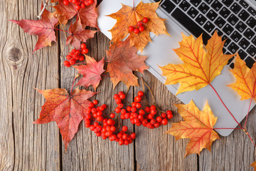 Naklejka na ściany i meble autumn fall flat lay, top view home office table desktop