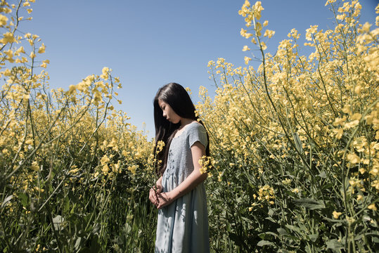 Girl in a blue dress in a field of yellow flowers