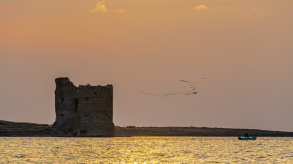 The anchient turret and the flock © Alberto Ialongo 