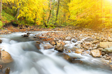 River in autumn forest with colorful trees and streaming water