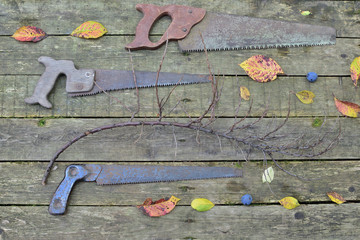 set of tools on wooden background