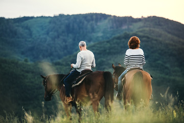 A rear view of senior couple riding horses in nature.