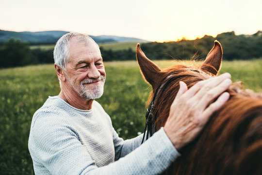 A senior man standing close to a horse outdoors in nature, stroking it.