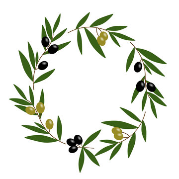 black and green olive wreath with green leaves illustration vector