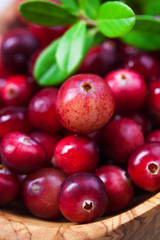 Harvest fresh red cranberries in wooden bowl, selective focus. Autumn concept