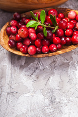 Harvest fresh red cranberries in wooden bowl, selective focus. Autumn concept