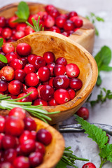 Fototapeta na wymiar Harvest fresh red cranberries in wooden bowl, selective focus. Autumn concept