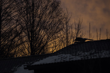 Romantic sunset with a part from the roof of a house