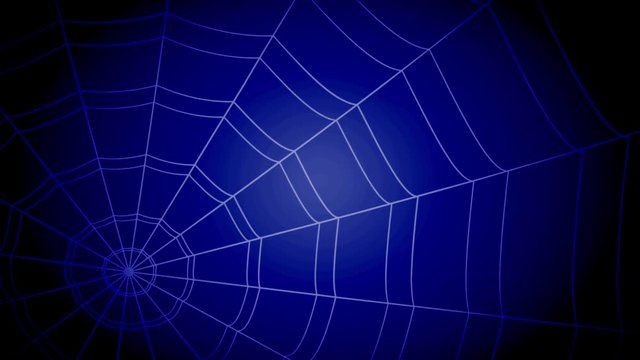 white concentric cobwebs jump sharply and stick on a blue background