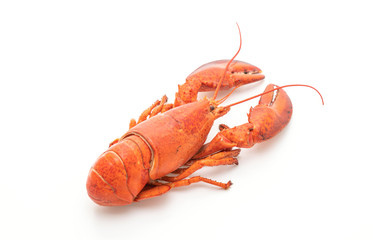 cooked lobster isolated on white