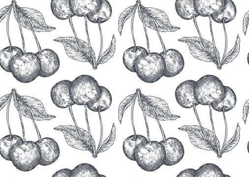 Vector seamless pattern with hand drawn cherry berries in sketch style.