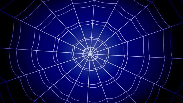 white concentric cobwebs jump sharply and stick on a blue background