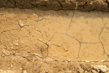 Cracked earth texture with water