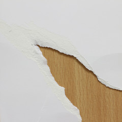 pieces of torn paper texture background, copy space.