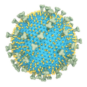 Epstein-Barr virus. 3d illustration isolated in white