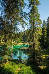 Fototapeta na wymiar Scorci del Lago di Carezza, Karersee, Val d'Ega, Nova Levante, Bolzano, Trentino Alto Adige, Italia