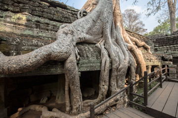 Buddha Temple in the nature of cambodia