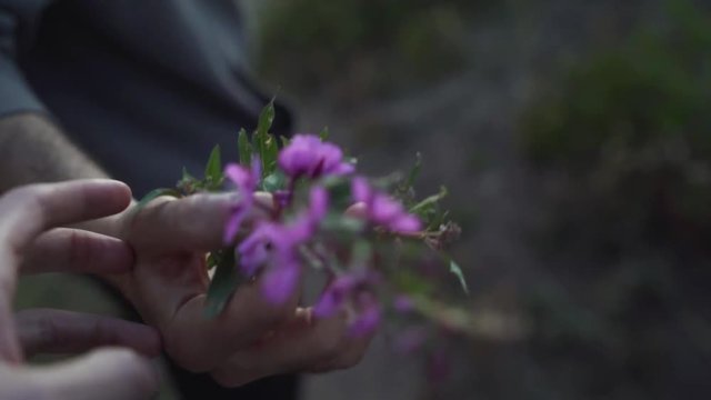 Friend Handing Purple Flowers To Another POV Slow Motion